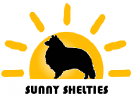 SUNNY SHELTIES